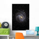 Southern Pinwheel Galaxy Wall Decal