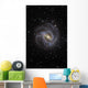 Southern Pinwheel Galaxy Wall Decal