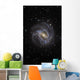 Southern Pinwheel Galaxy Wall Decal