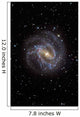 Southern Pinwheel Galaxy Wall Decal