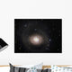 Messier 94 Spiral Galaxy Wall Decal