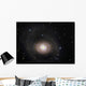 Messier 94 Spiral Galaxy Wall Decal