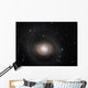 Messier 94 Spiral Galaxy Wall Decal