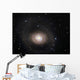 Messier 94 Spiral Galaxy Wall Decal