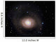 Messier 94 Spiral Galaxy Wall Decal