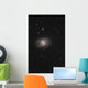 Messier 95 Barred Spiral Wall Decal