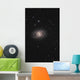 Messier 95 Barred Spiral Wall Decal