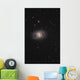 Messier 95 Barred Spiral Wall Decal