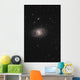 Messier 95 Barred Spiral Wall Decal