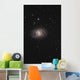 Messier 95 Barred Spiral Wall Decal