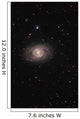 Messier 95 Barred Spiral Wall Decal