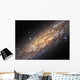 Sculptor Galaxy Wall Decal Design 2