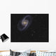 Ngc 1365 Is Barred Wall Decal