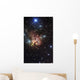Northern Trifid Nebula Wall Decal
