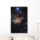Northern Trifid Nebula Wall Decal