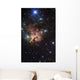 Northern Trifid Nebula Wall Decal