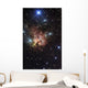 Northern Trifid Nebula Wall Decal