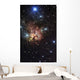Northern Trifid Nebula Wall Decal