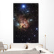 Northern Trifid Nebula Wall Decal