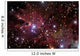 Cone Nebula and Christmas Wall Decal