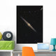 Ngc 4565 Is Edge-on Wall Decal
