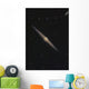 Ngc 4565 Is Edge-on Wall Decal