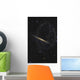 Splinter Galaxy Also Known Wall Decal
