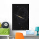 Splinter Galaxy Also Known Wall Decal