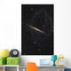 Splinter Galaxy Also Known Wall Decal