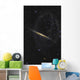Splinter Galaxy Also Known Wall Decal