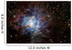 Iris Nebula Wall Decal Design 3
