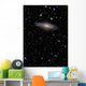 Ngc 7331 Is Spiral Wall Decal