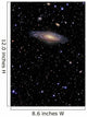 Ngc 7331 Is Spiral Wall Decal