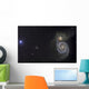 Whirlpool Galaxy Wall Decal