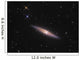 Ngc 4013 Is Edge-on Wall Decal Design 1