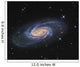 Ngc 2903 Is Barred Wall Decal Design 1