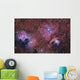 Star Forming Region Constellation Wall Decal Design 1