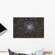 Wild Duck Cluster Also Wall Decal