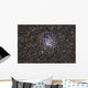 Wild Duck Cluster Also Wall Decal