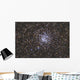 Wild Duck Cluster Also Wall Decal