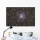 Wild Duck Cluster Also Wall Decal