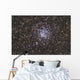Wild Duck Cluster Also Wall Decal