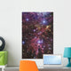 Stellar Nursery Located towards Wall Decal