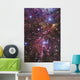 Stellar Nursery Located towards Wall Decal
