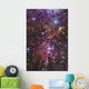 Stellar Nursery Located towards Wall Decal