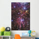 Stellar Nursery Located towards Wall Decal