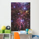 Stellar Nursery Located towards Wall Decal