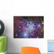 Fox Fur Nebula Wall Decal