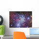 Fox Fur Nebula Wall Decal