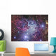 Fox Fur Nebula Wall Decal